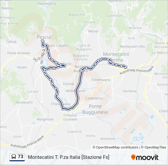 73 Bus Line Map