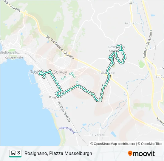 3 Bus Line Map