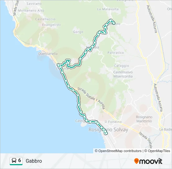6 Bus Line Map
