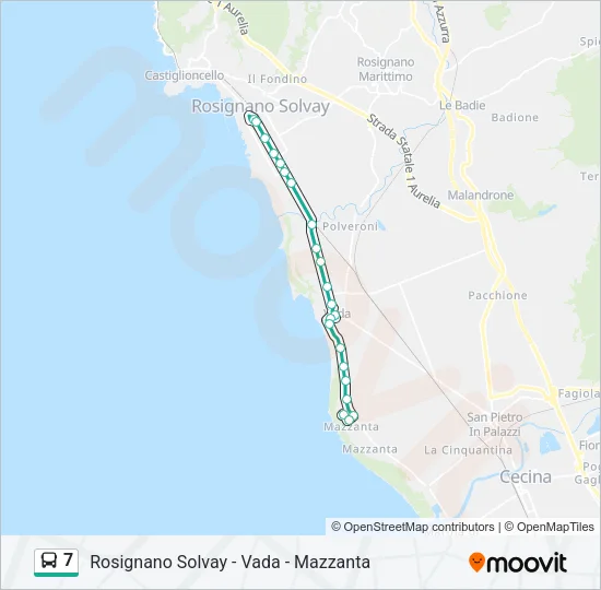 7 Bus Line Map