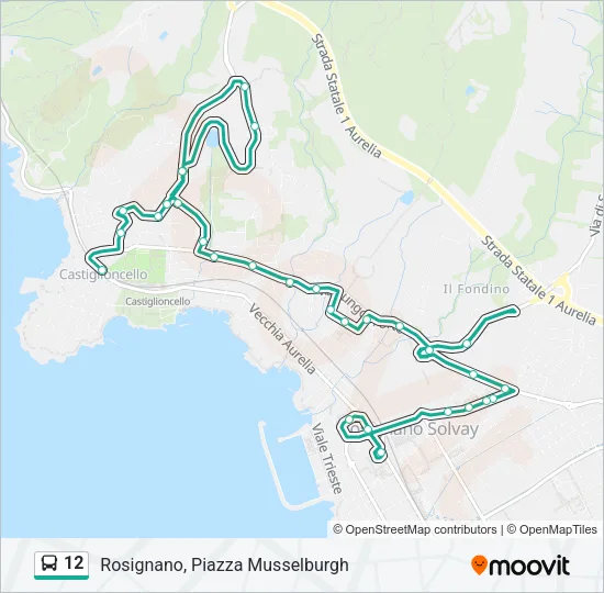 12 Bus Line Map