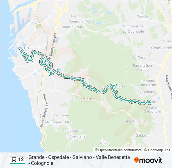 12 bus Line Map