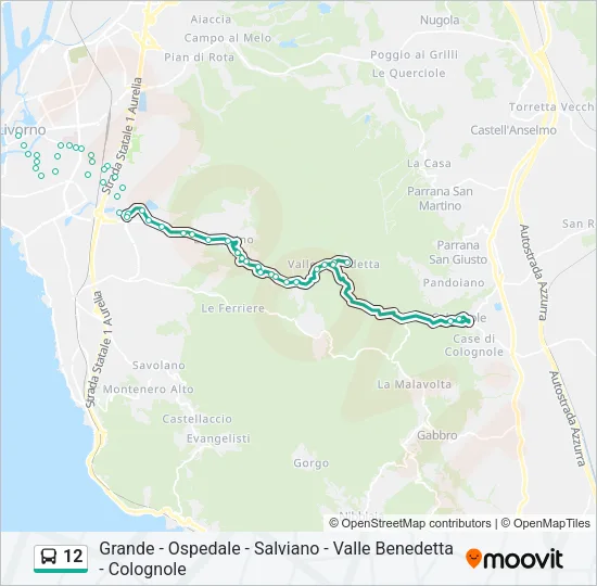 12 Bus Line Map