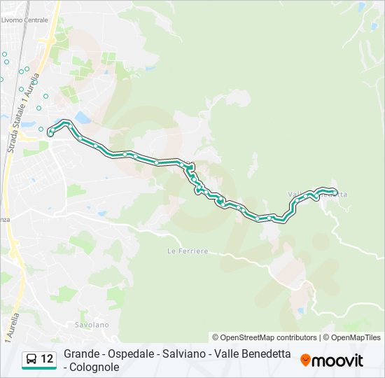 12 bus Line Map