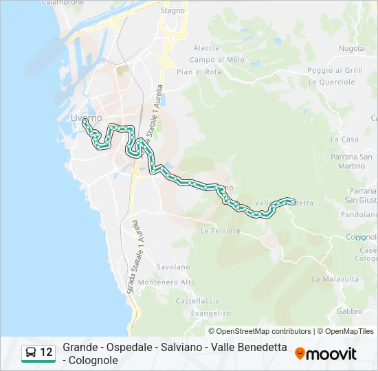 12 Bus Line Map