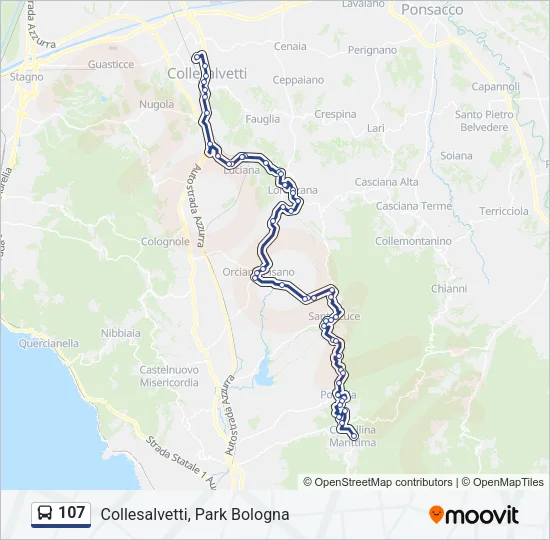 107 Bus Line Map