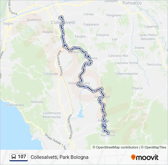 107 Bus Line Map