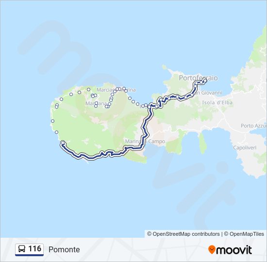 Percorso linea bus 116