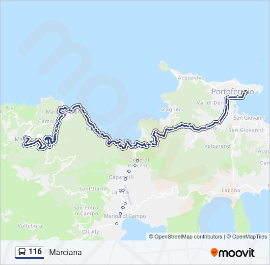 Percorso linea bus 116