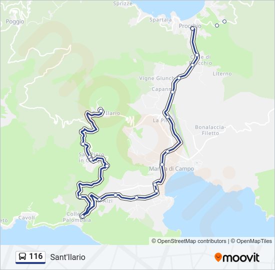 Percorso linea bus 116