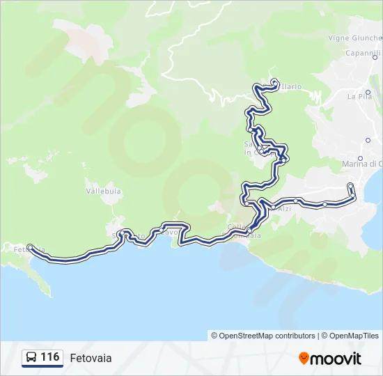 116 Bus Line Map