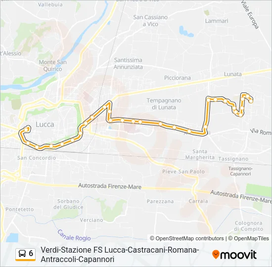6 Bus Line Map