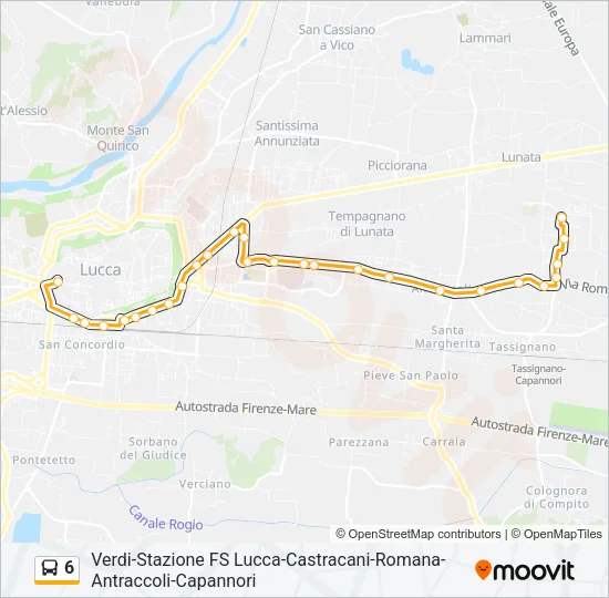 6 Bus Line Map