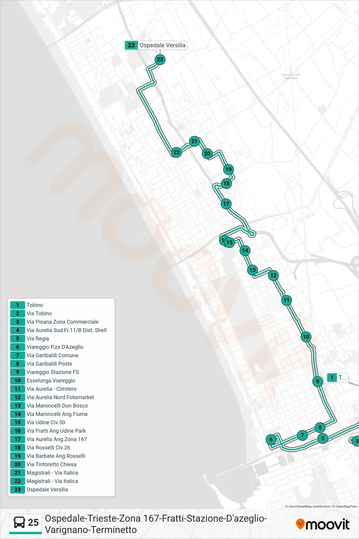 Linea 25 bus (Ospedale Versilia) - Percorsi e fermate sulla mappa