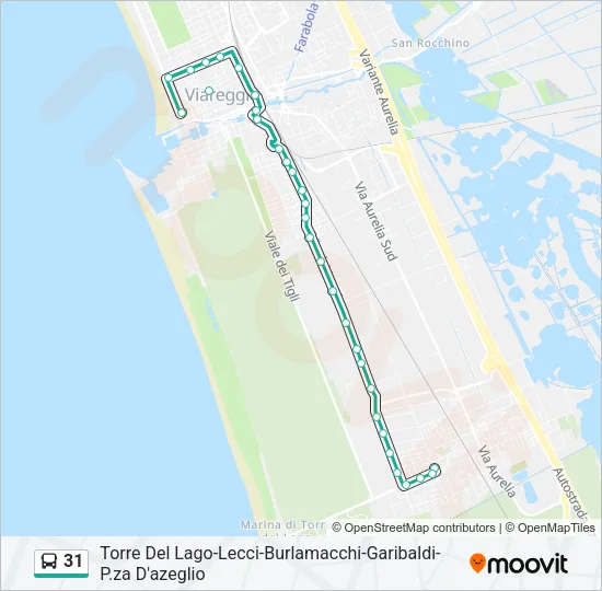 31 Bus Line Map
