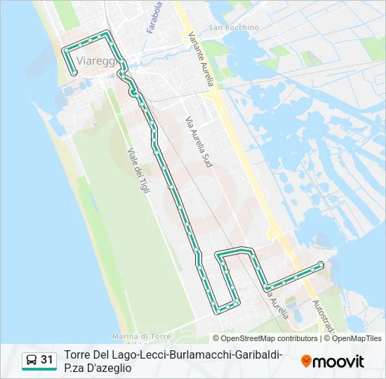 31 Bus Line Map