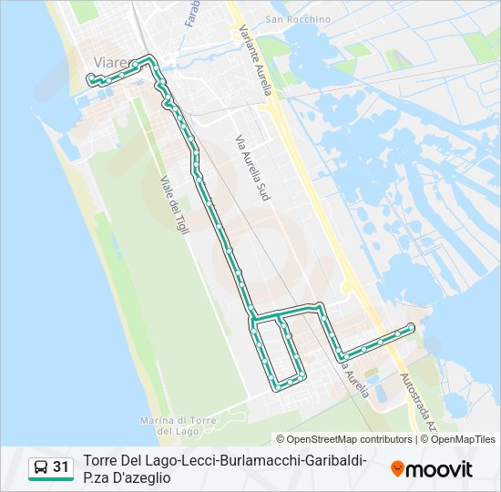 31 Bus Line Map