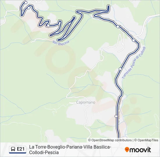E21 Bus Line Map