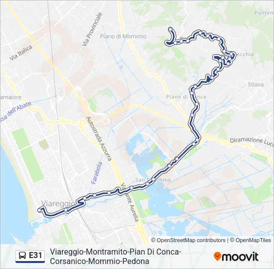 E31 Bus Line Map