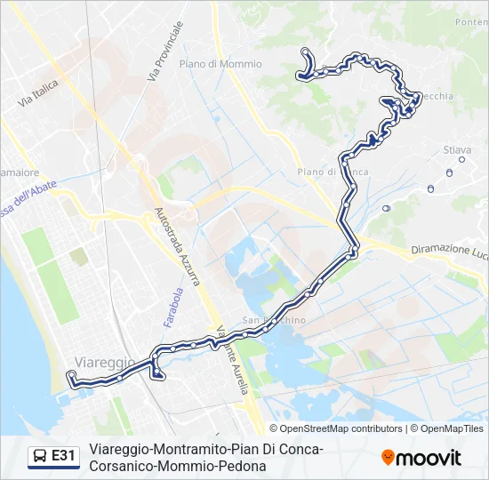E31 Bus Line Map
