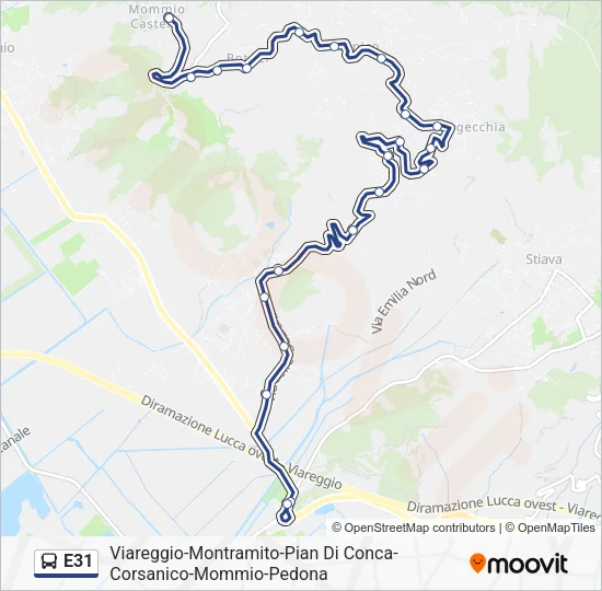 E31 Bus Line Map