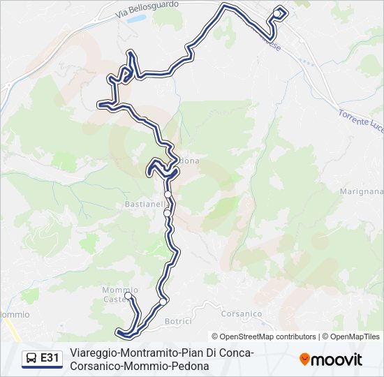E31 Bus Line Map