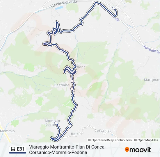 E31 Bus Line Map