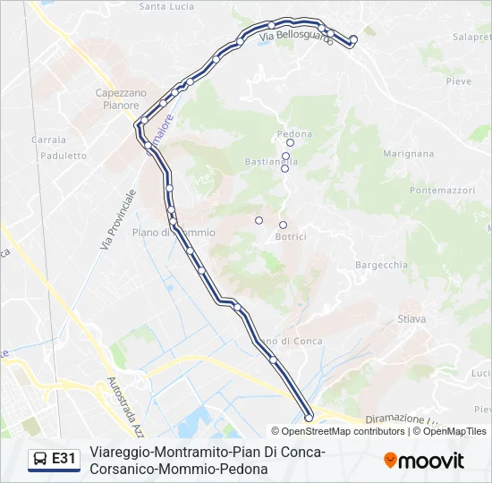 E31 Bus Line Map