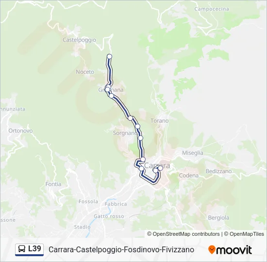 L39 Bus Line Map