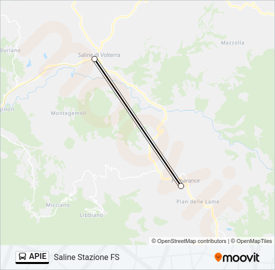 APIE Bus Line Map
