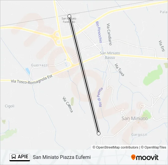 APIE Bus Line Map