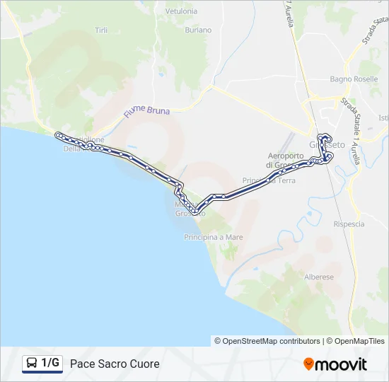 1/G Bus Line Map