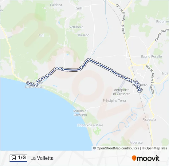 1/G Bus Line Map