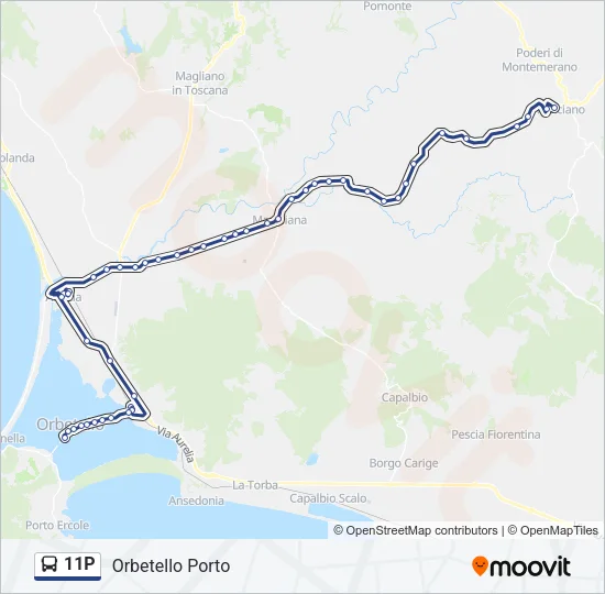 11P Bus Line Map
