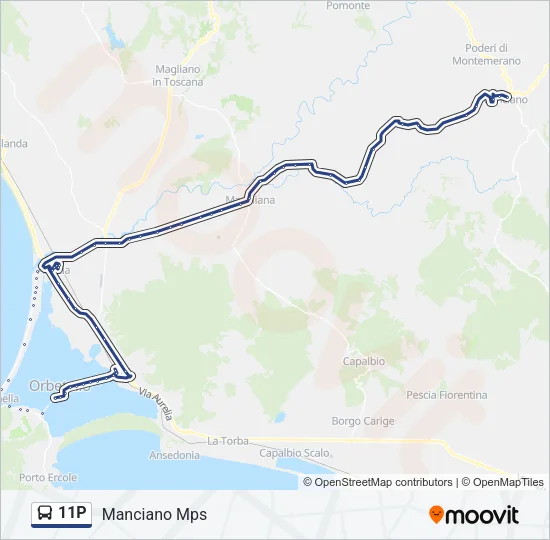 11P Bus Line Map