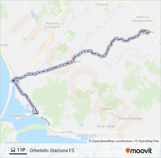 11P Bus Line Map