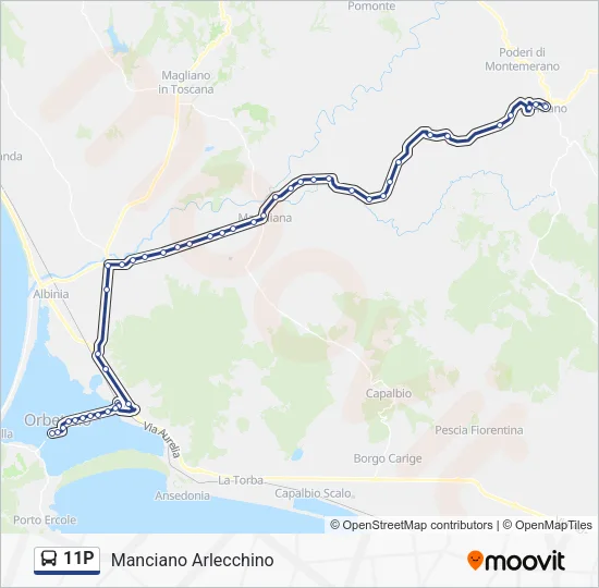 11P Bus Line Map