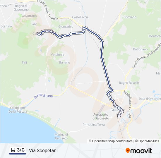 3/G bus Line Map