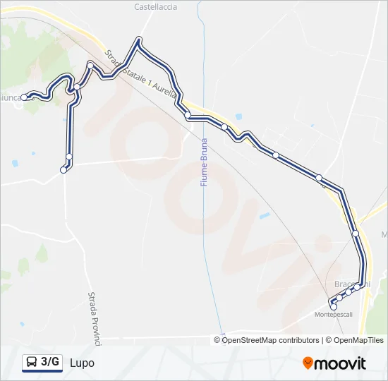 3/G Bus Line Map