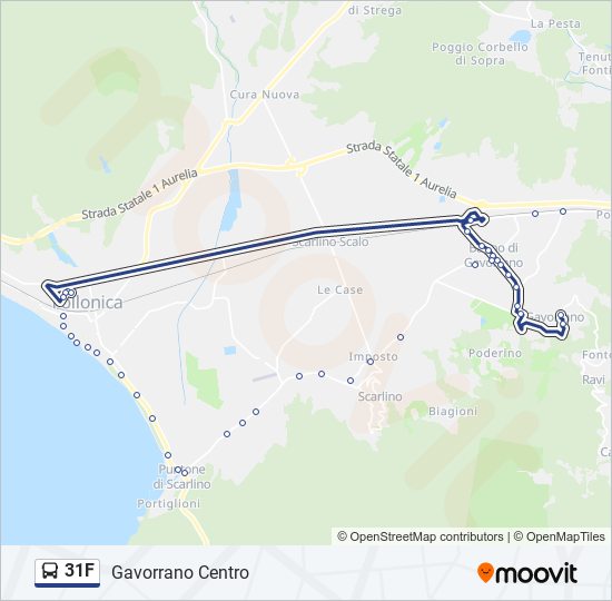 31F bus Line Map