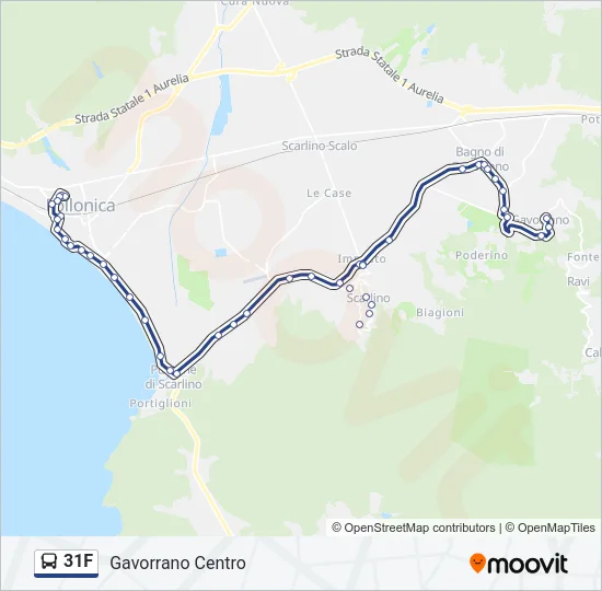 31F Bus Line Map