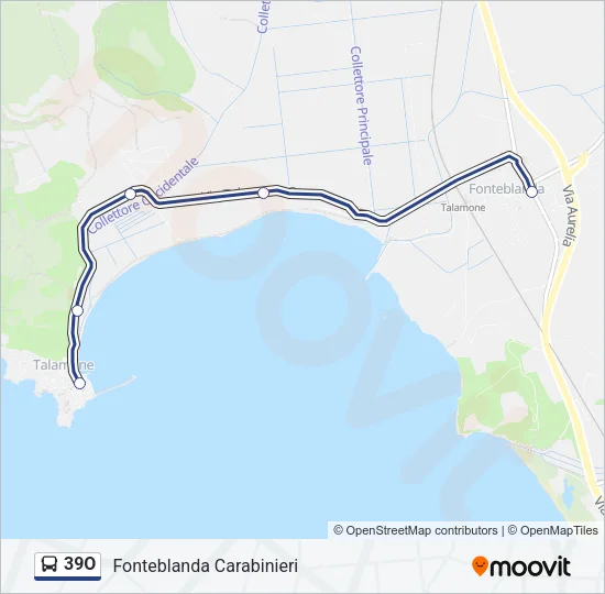39O Bus Line Map