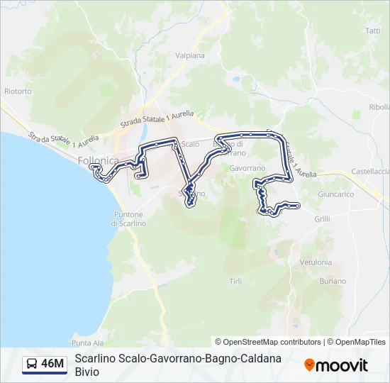46M Bus Line Map