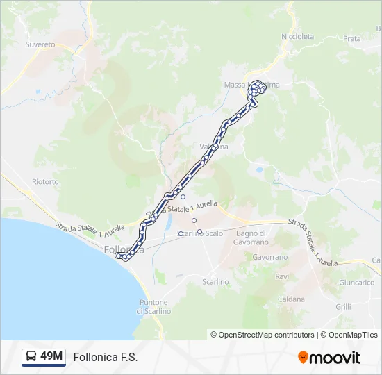 49M Bus Line Map