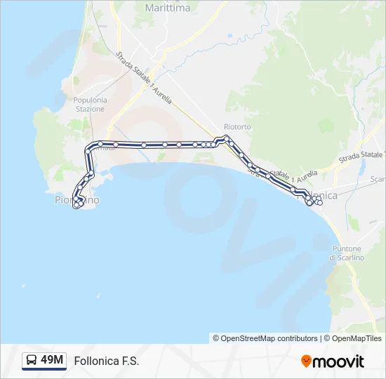 49M Bus Line Map