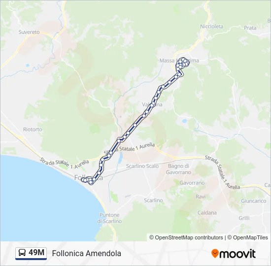 49M Bus Line Map