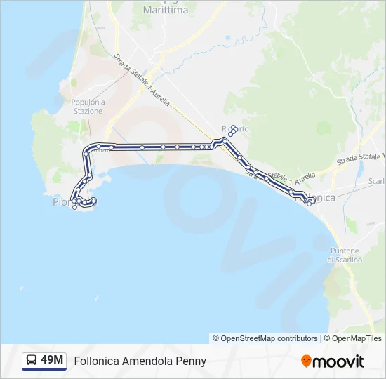 49M Bus Line Map