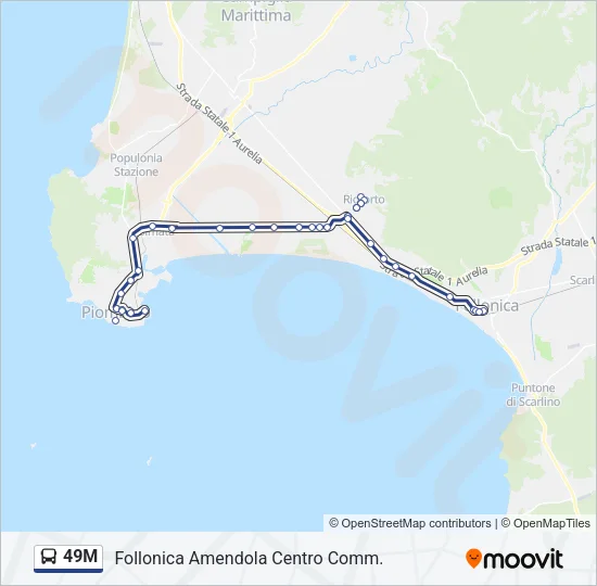 49M Bus Line Map