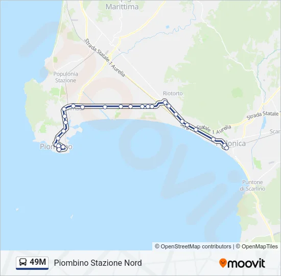 49M Bus Line Map
