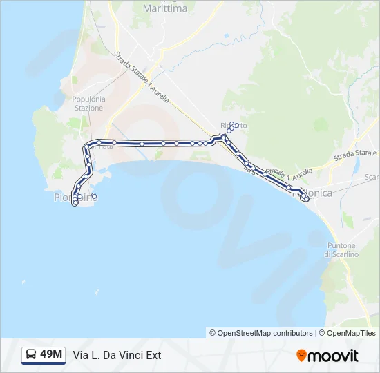 49M Bus Line Map